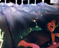 Mark Earls - Bass
